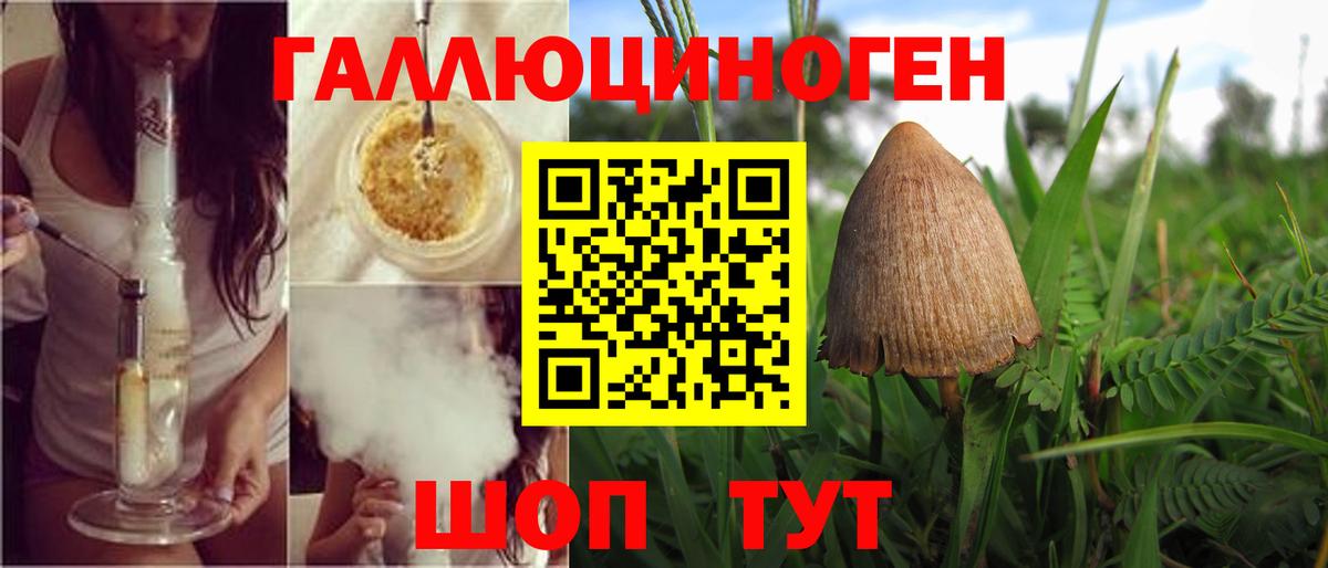 Псилоцибиновые грибы мухоморы Звенигород